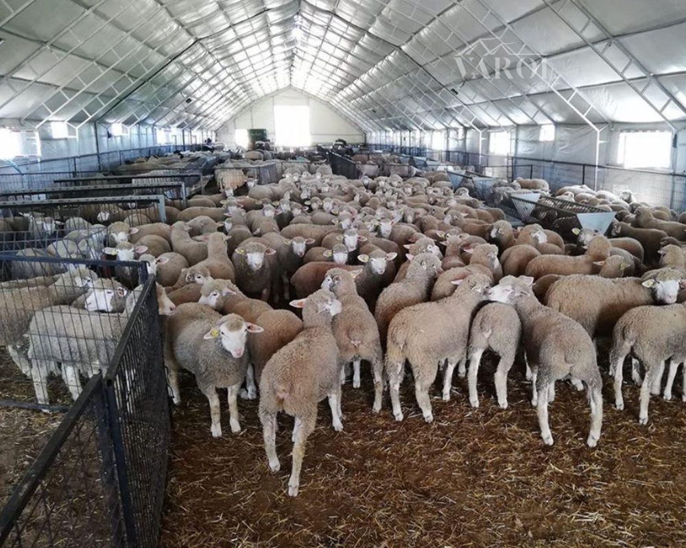 Varol Tent sheep and goat shelter