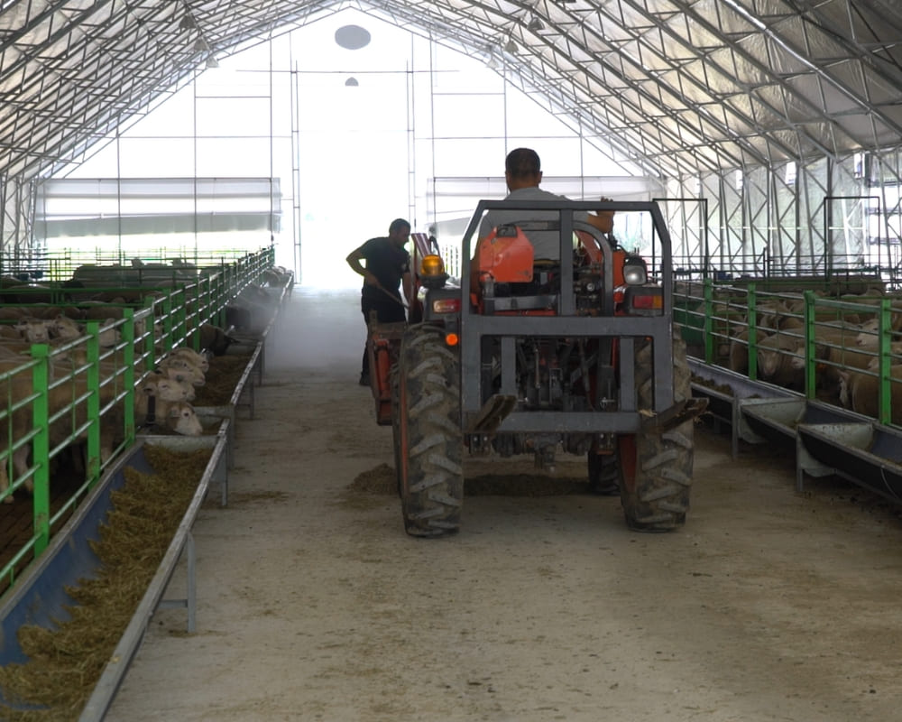 Livestock & Animal Husbandry Shelter Tents