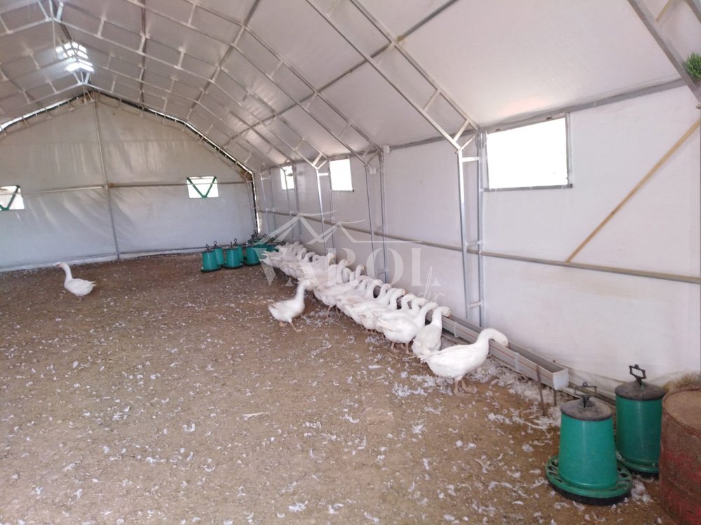 Poultry House & Broiler Farming Tents