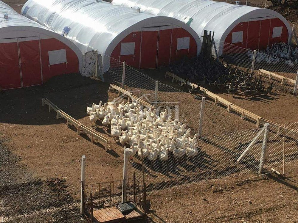 Poultry House & Broiler Farming Tents